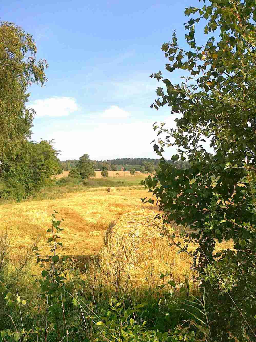 agroturystyka mazury plener pole po niwach