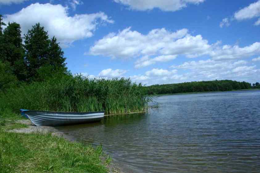 widok na brzeg jeziora z łódką